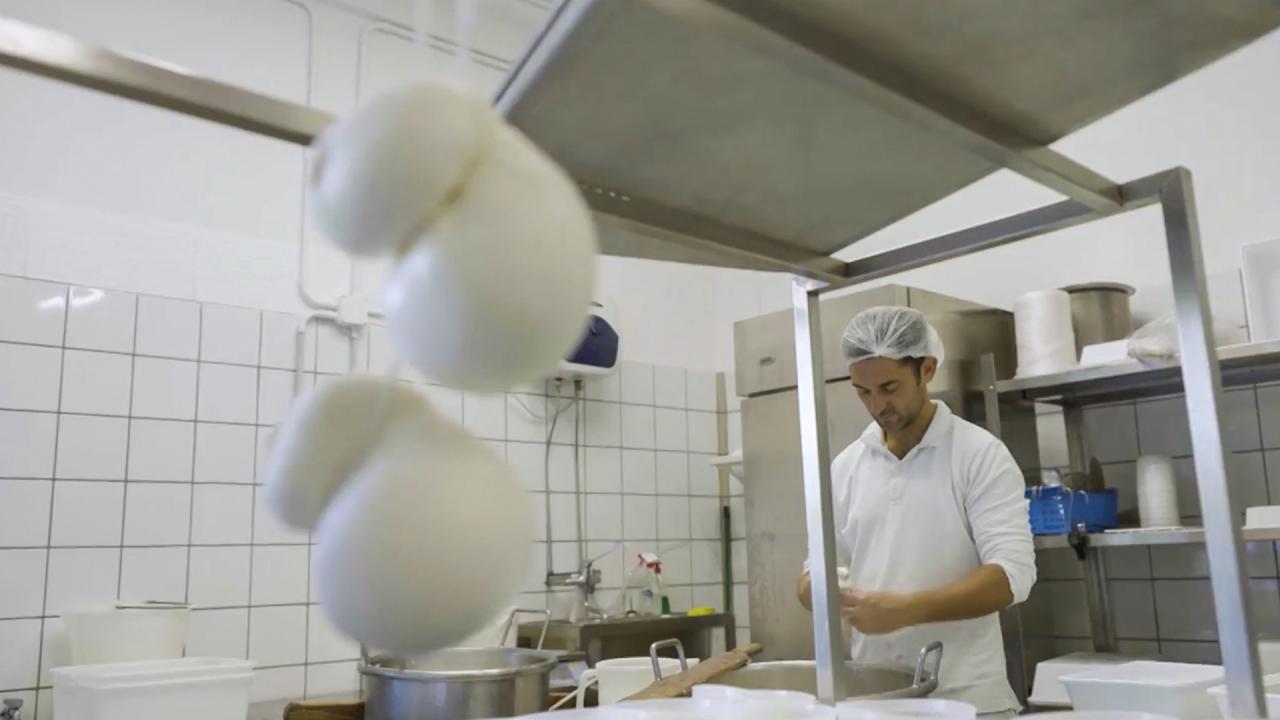 Mozzarella and Burrata