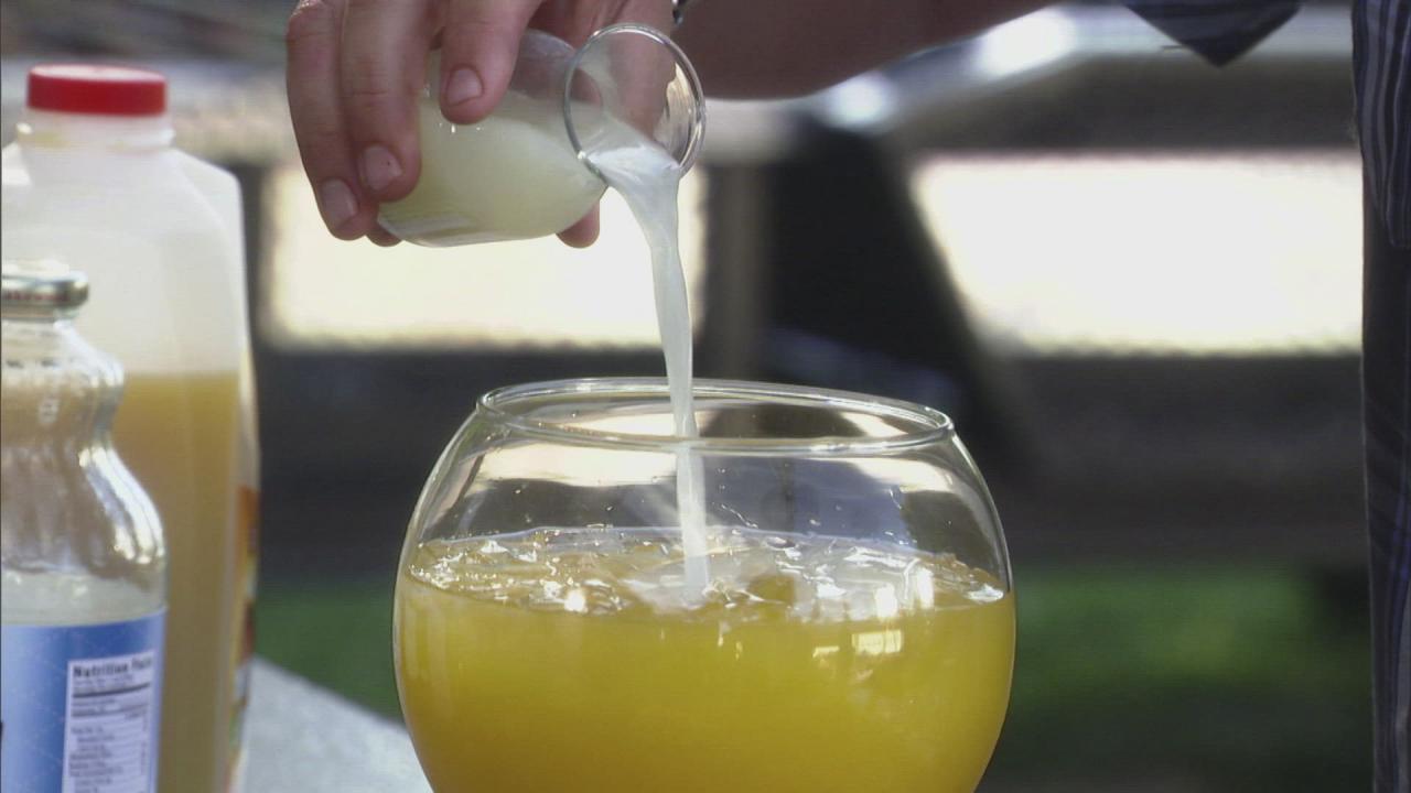 Guy's Island Bird Fruit Punch