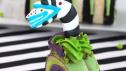 Beetlejuice Cake Roll