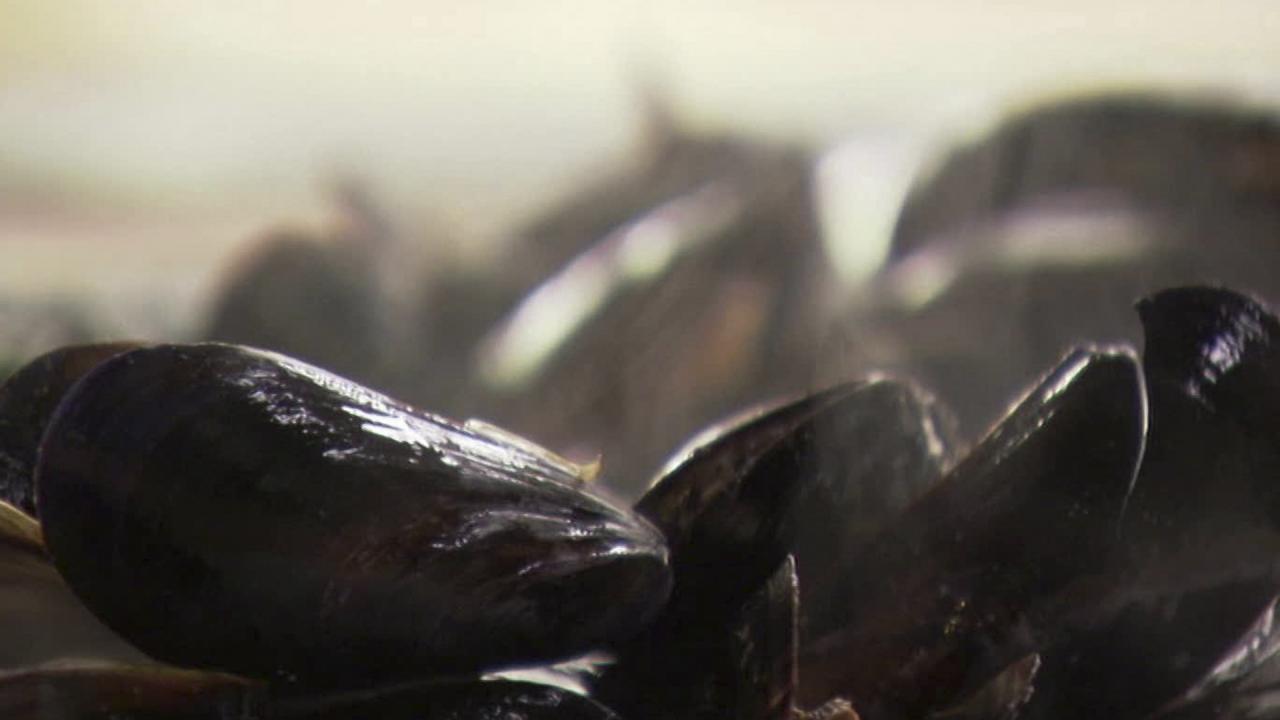 Mussels for Cocktail Hour