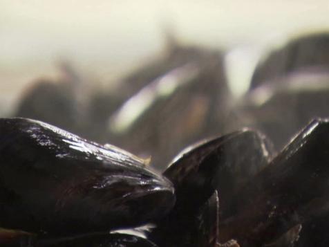 Mussels for Cocktail Hour