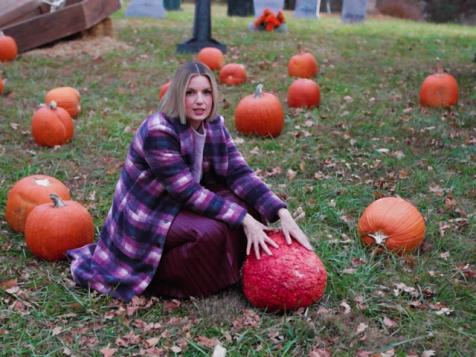 Outrageous Pumpkins Set Tour