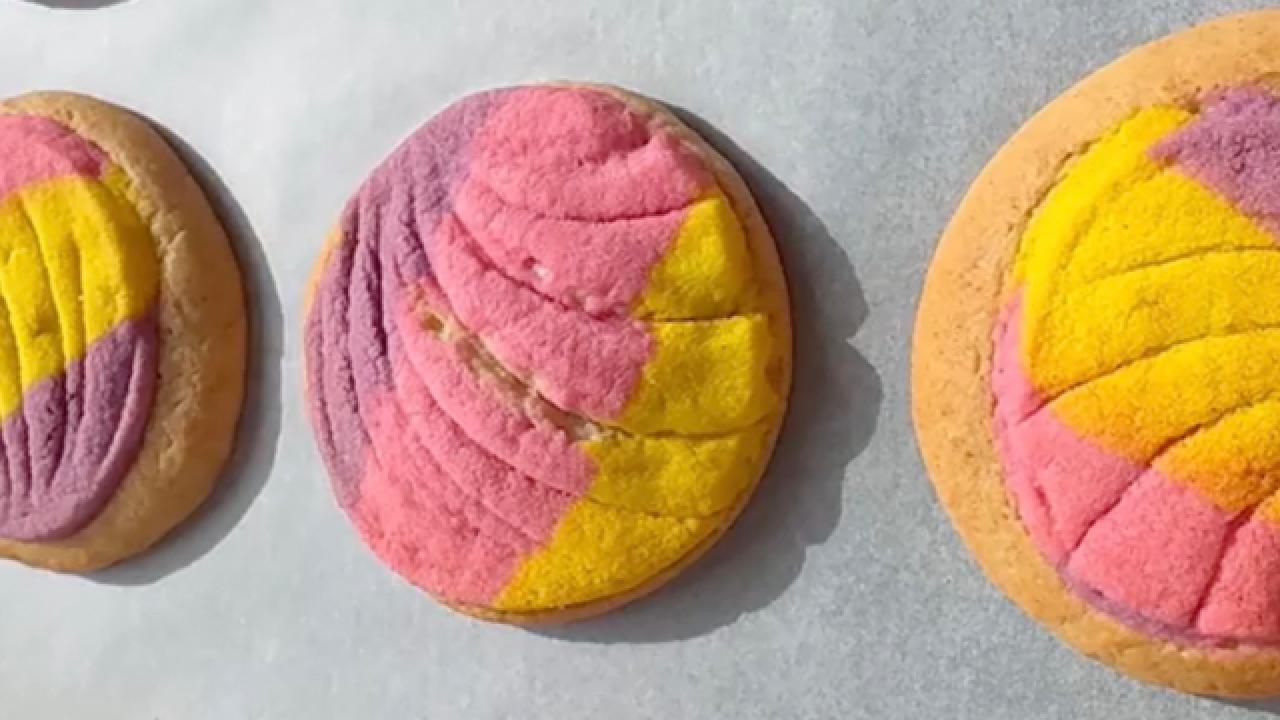 Galle-Conchas