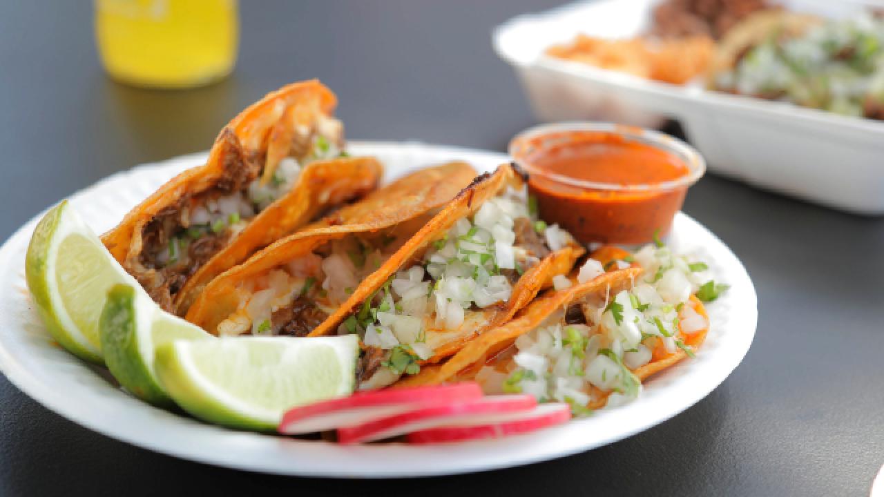 Goat Birria Quesataco
