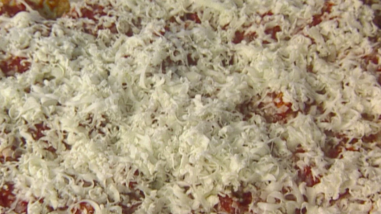 Favorite Stuffed Shell Pasta