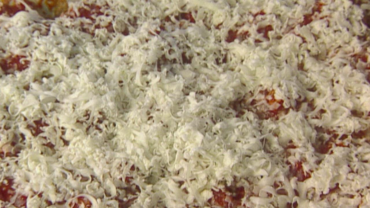 Favorite Stuffed Shell Pasta