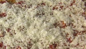Favorite Stuffed Shell Pasta