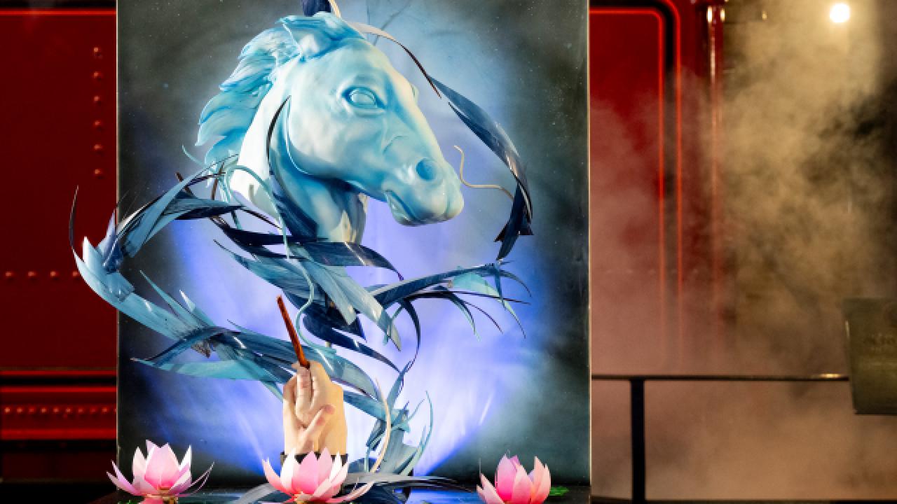 The Power of the Patronus Charm