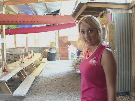Insider's Look at the Shed