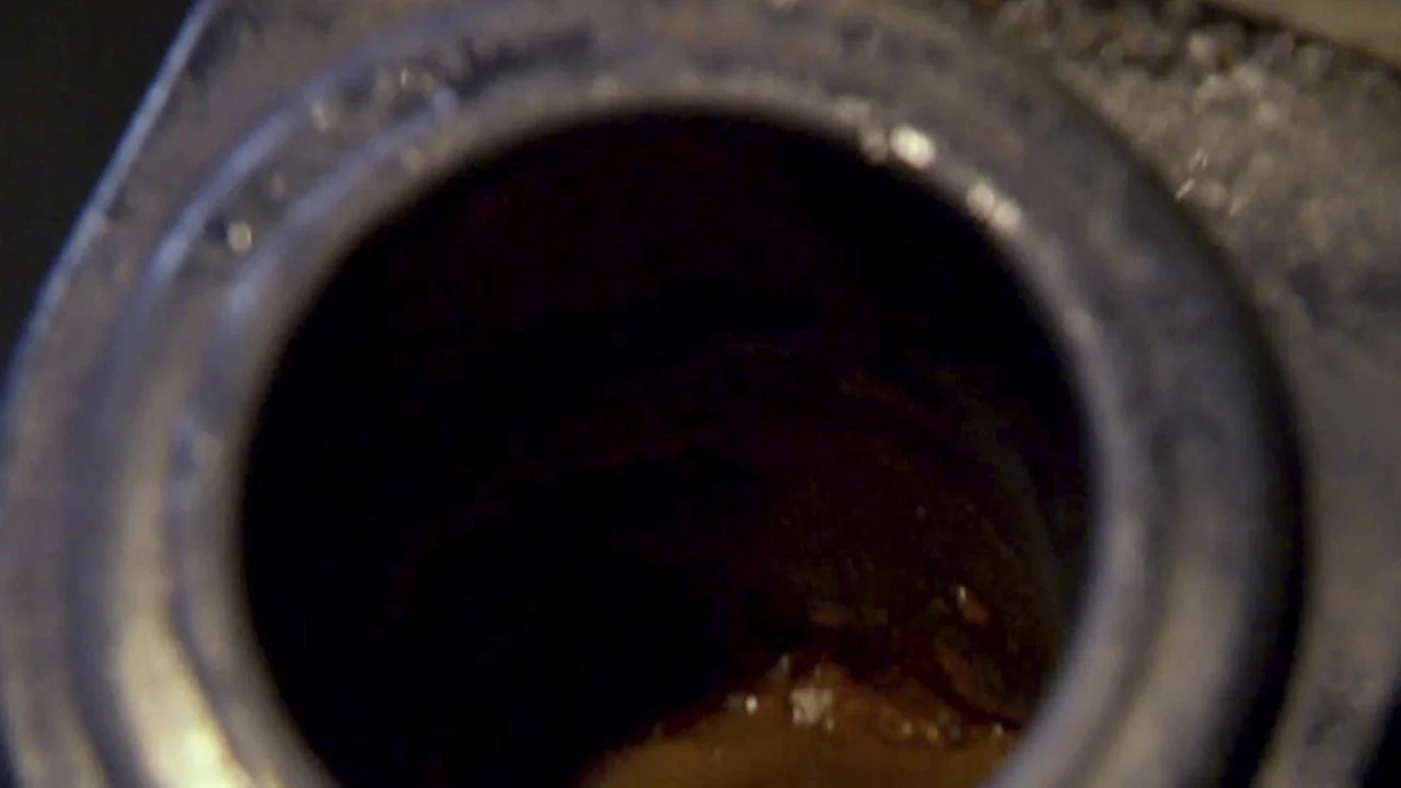 Top 5 Dirtiest Restaurants