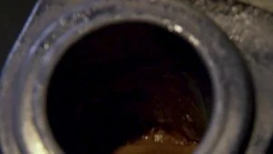 Top 5 Dirtiest Restaurants