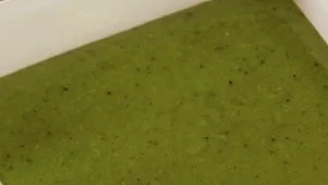 Ree's Fresh Basil Pesto