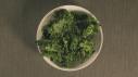 Guide to Kale