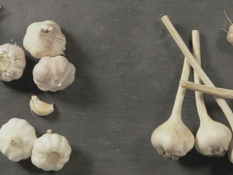 All About Garlic