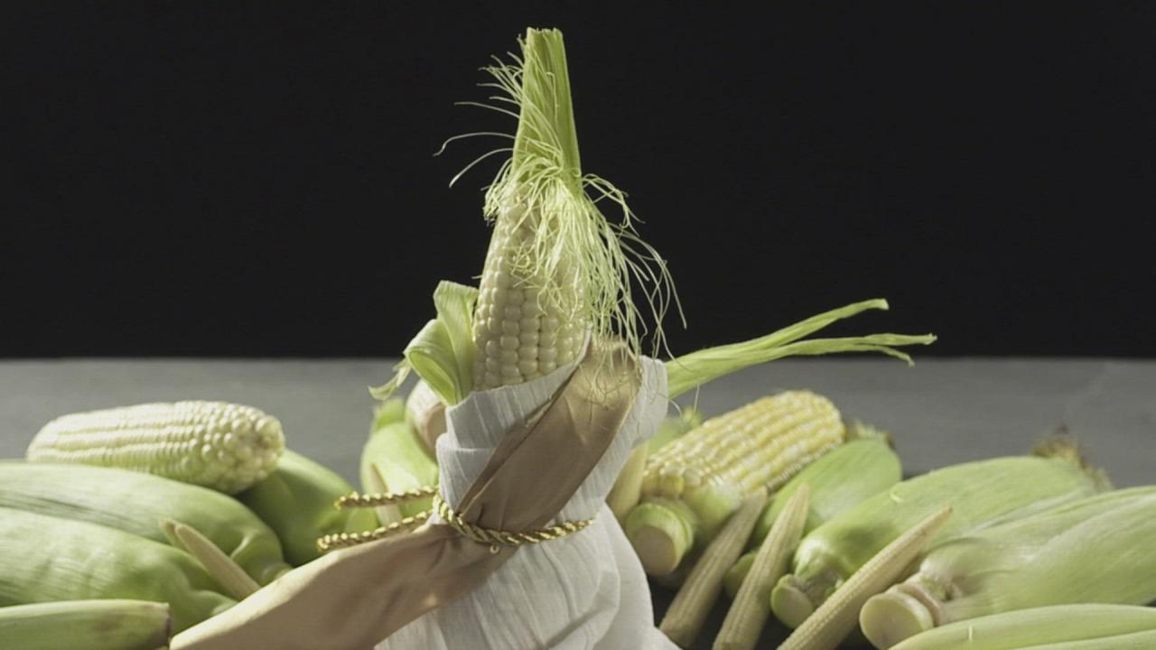 All About Corn