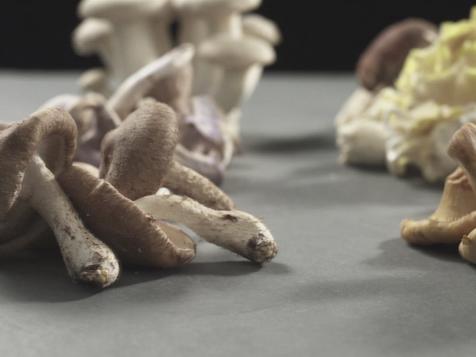 All About Mushrooms