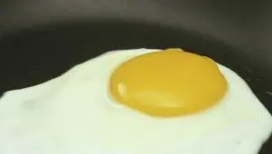 All About Eggs