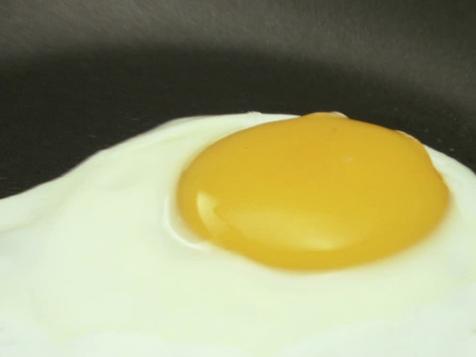 All About Eggs