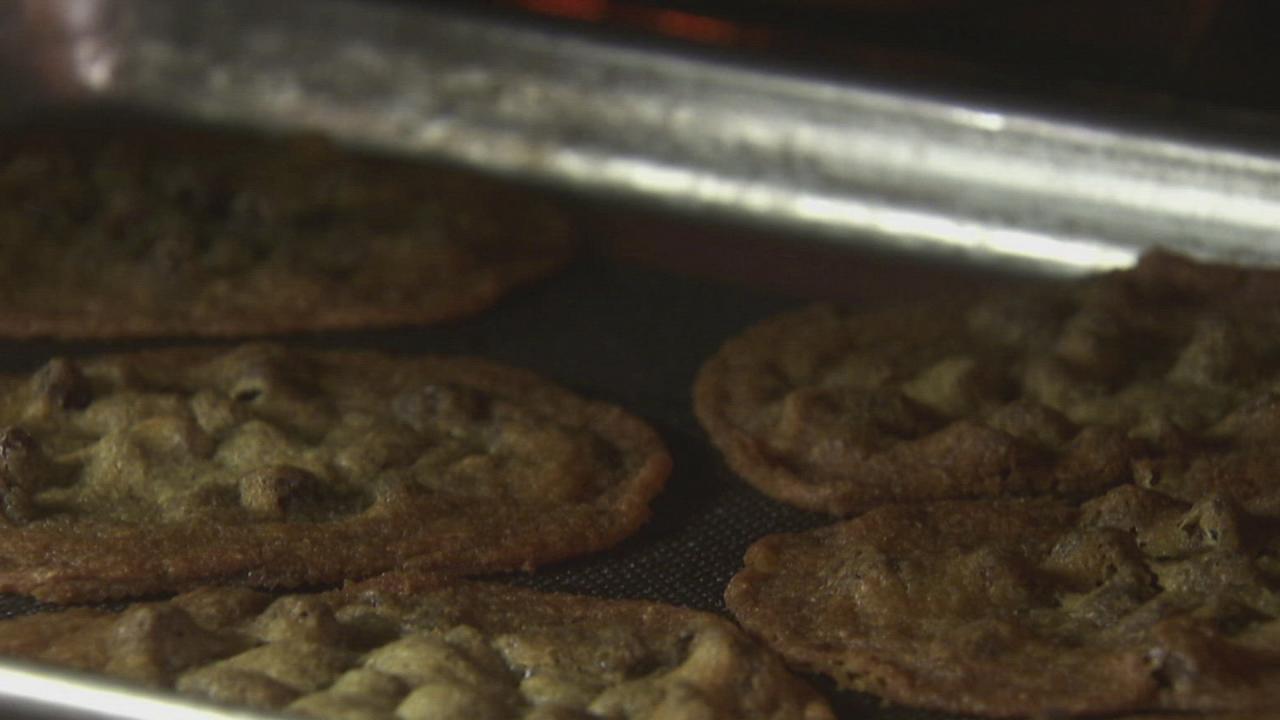 Malted Chocolate Chip Cookies