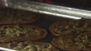 Malted Chocolate Chip Cookies