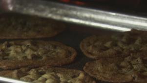 Malted Chocolate Chip Cookies