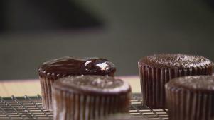 Ganache-Dipped Cupcakes