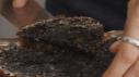 Gabi Chappel: Poppyseed Tart