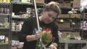 Moose Antlers vs. Giant Whisk