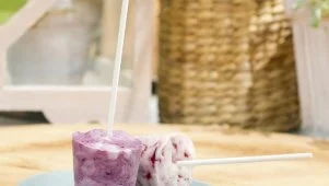 Frozen Blueberry-Yogurt Pops