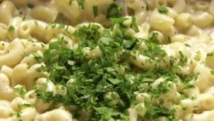 No-Bake Mac and Four Cheeses