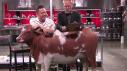 Cutthroat After-Show: Udder