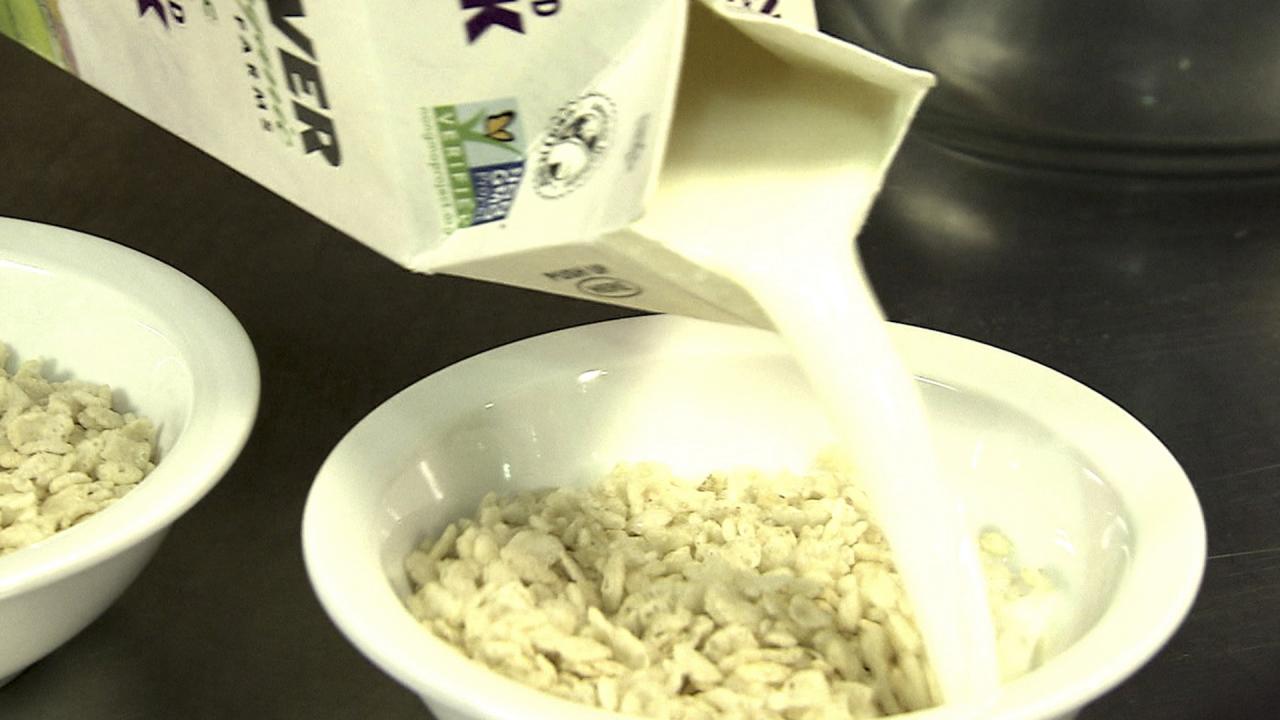 Milk-Soaked Cereal