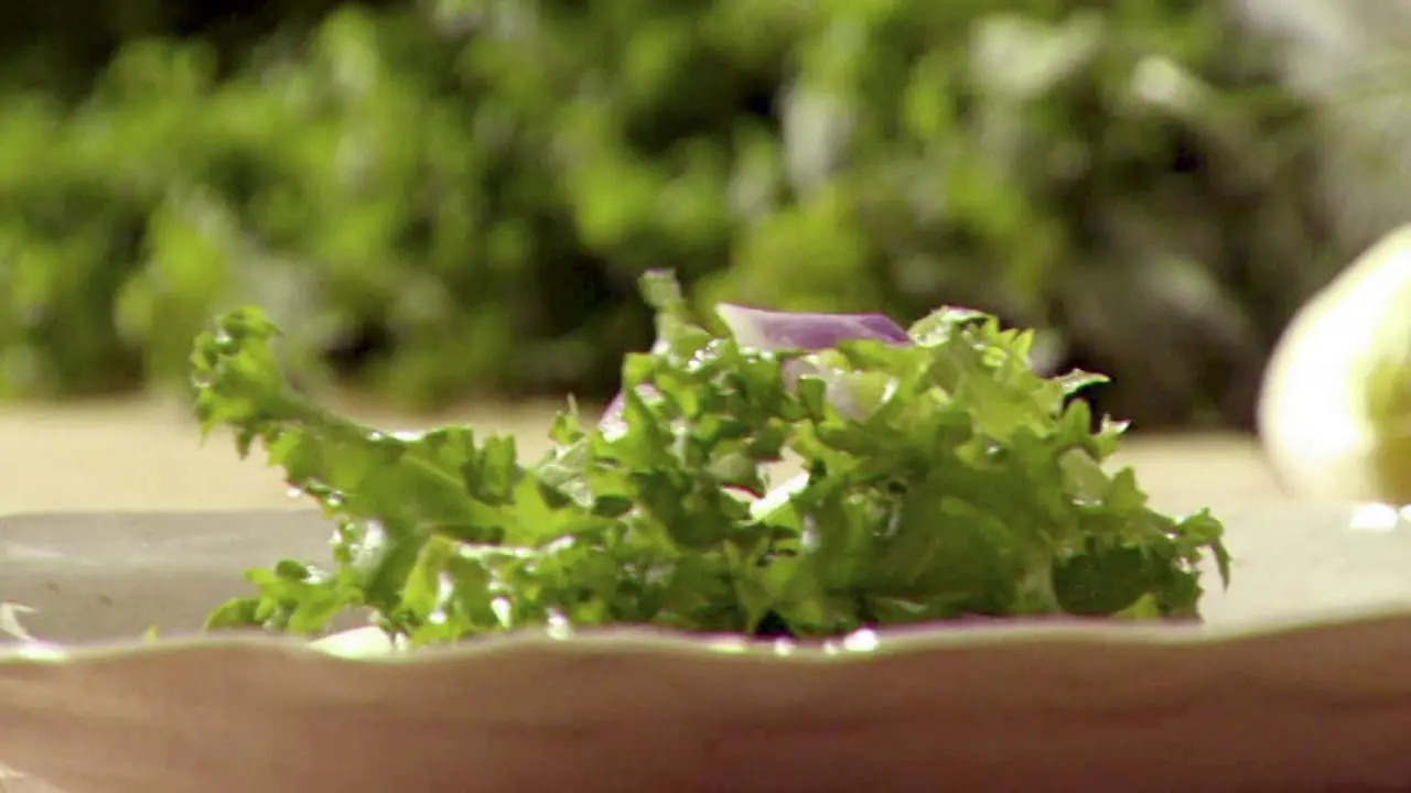 Anne's Curly Endive Salad