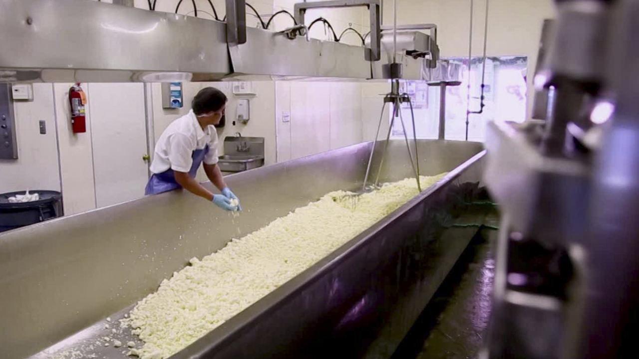 Artisanal Cheese