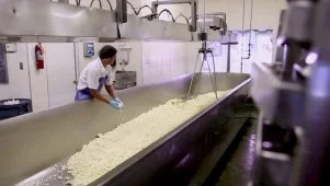 Artisanal Cheese