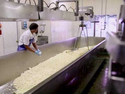 Artisanal Cheese
