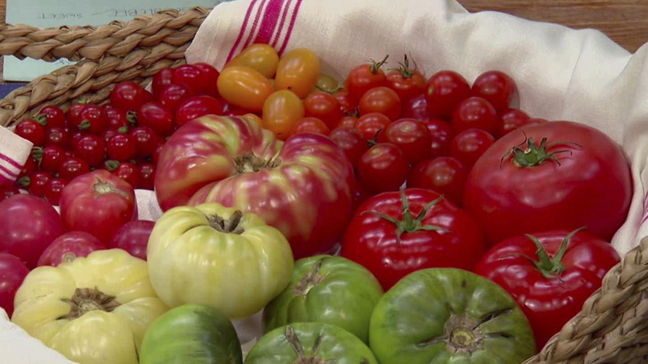 The Kitchen Talks Tomatoes