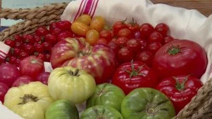 The Kitchen Talks Tomatoes
