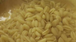 Ree's Quick Shells and Cheese