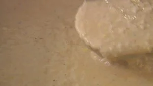 Ina's Creamy Shrimp Bisque