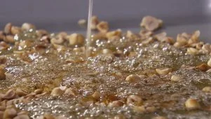 Giada's Hazelnut Brittle
