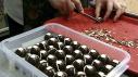 Raspberry Truffles