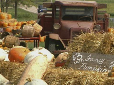 Pumpkin Festival