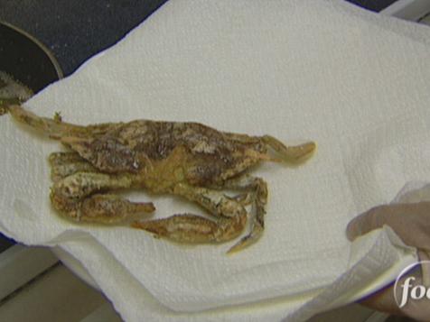 Soft Shell Crab
