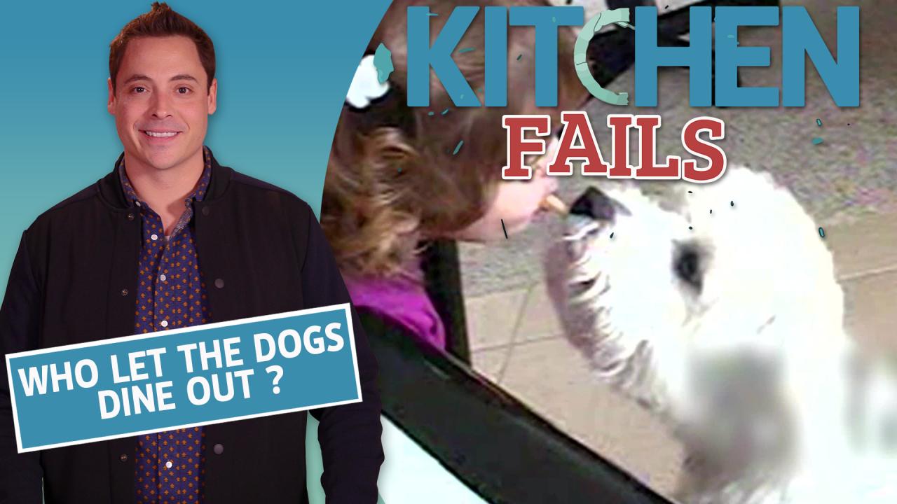 Kitchen Fails: Dogs