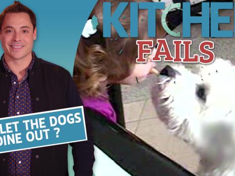 Kitchen Fails: Dogs