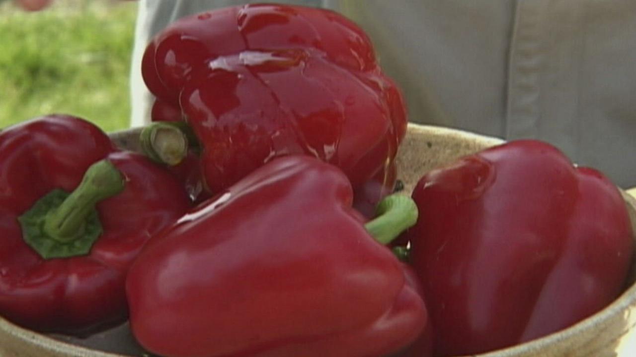 Roasted Peppers