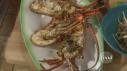 Spiny Lobster