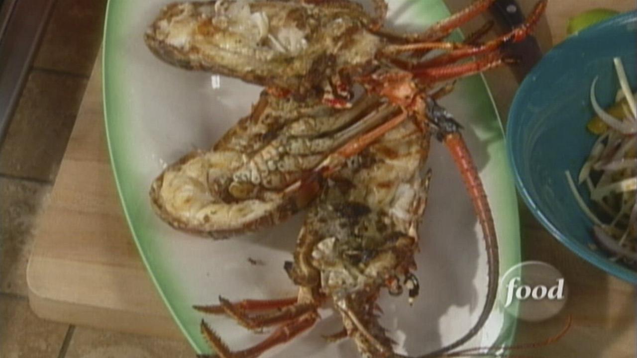 Spiny Lobster