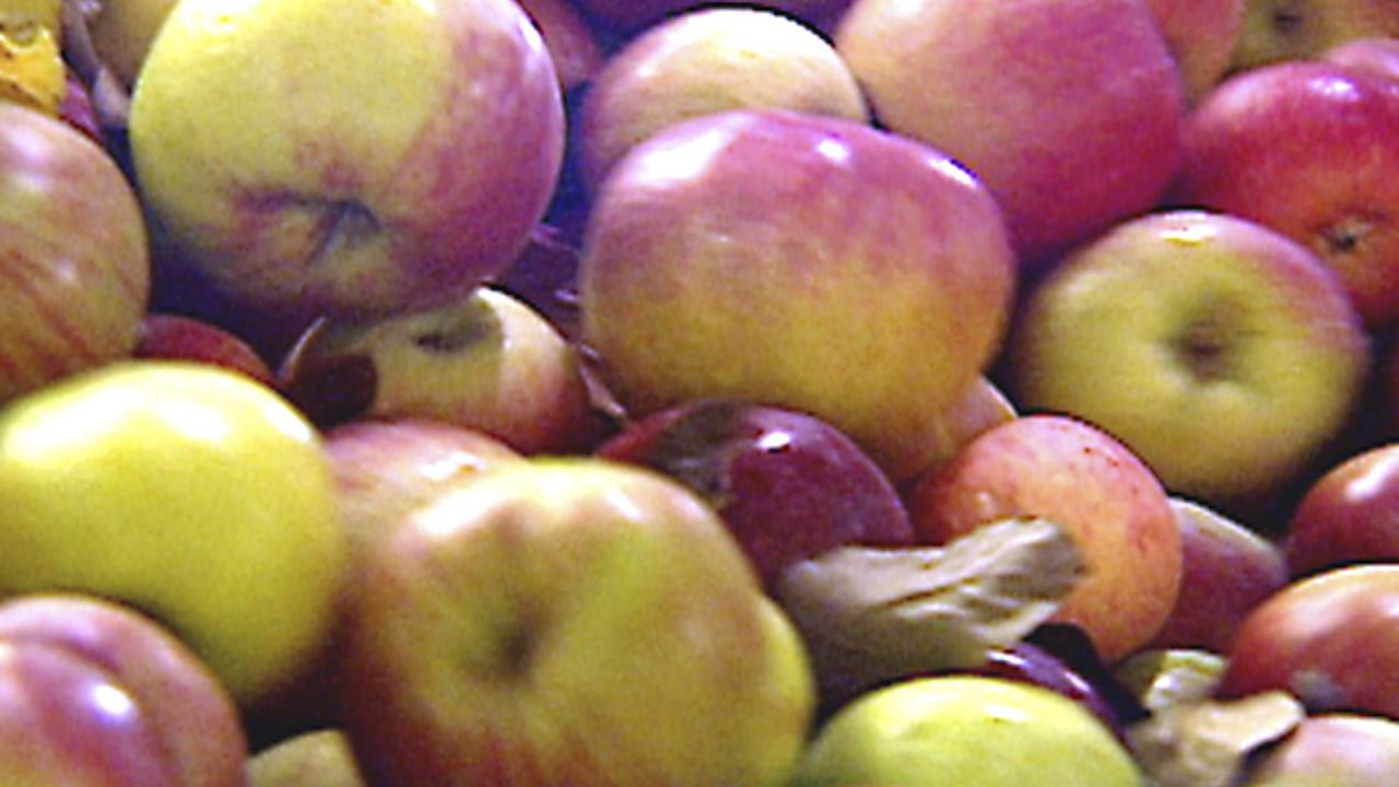 Celebrating Applesauce